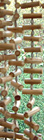 Bamboo curtain
.