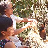 Our curtains are made at
a cooperative in the
Philippines
.