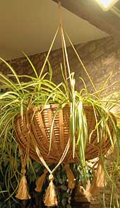 

   Sika, plant hanger   

