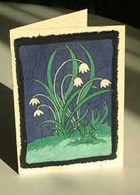 


   «Cards from the mountains»™   
   Spring flower

   Click here to next card      

