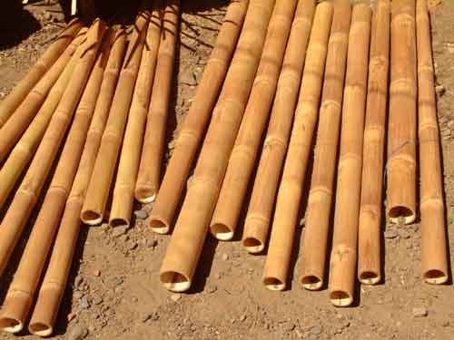 
   This basket begins with bamboo   

   Muñoz, Philippines   
