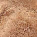 

   Coir fibres extracted from the coconuts   

