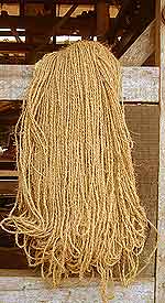 

   Spun coir yarn ready for the warp  

