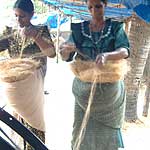 

   Spinning the fibres   

