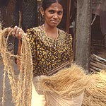 

   Spun fibres   


