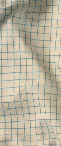

   Check duvet cover, blue/white   
.

