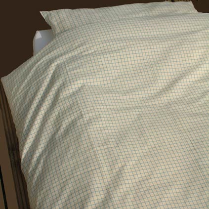 

   Check duvet cover, blue/white   
.
