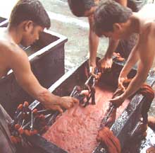 

   Dyeing the yarn in small batches   
.
