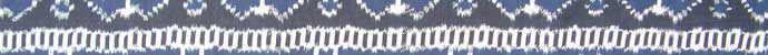 

   Part of border from «Saree» fabric   

.
