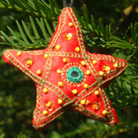 

   Needlework star   


