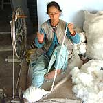 

   Hand spinning
   the cotton
   before weaving   
.
