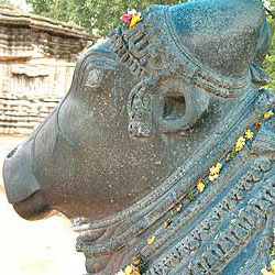 

   Nandi the bull at the
   Thousand pillars temple   
   in Warangal   
.
